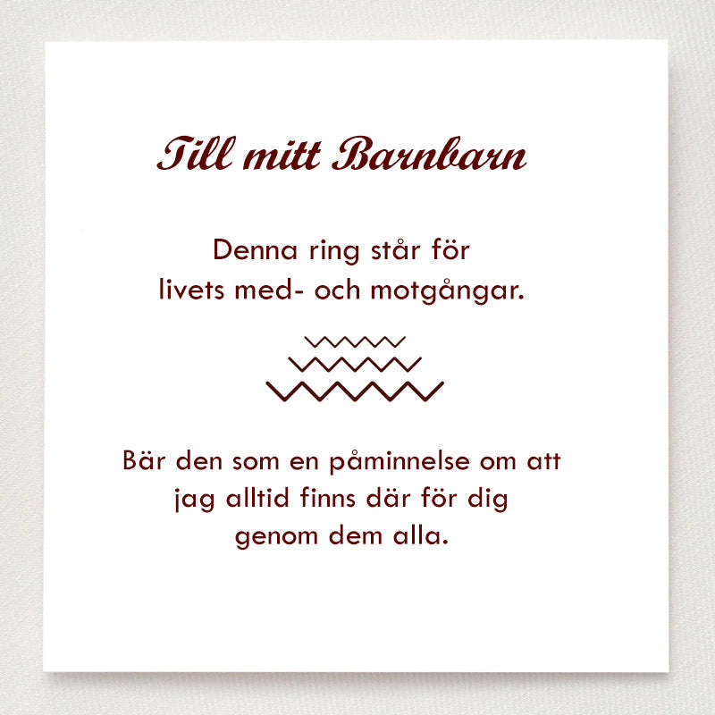 Med- Och Motgångar Ring